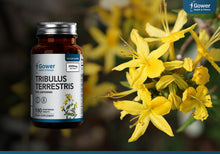 Load image into Gallery viewer, Tribulus Terrestris Capsules
