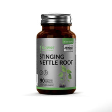 Load image into Gallery viewer, Stinging Nettle Root Capsules
