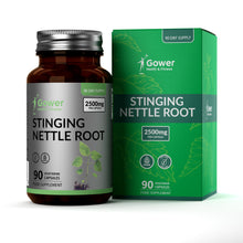 Load image into Gallery viewer, GH Stinging Nettle Root | 90 Capsules - 2500mg per Serving (10:1 Extract)
